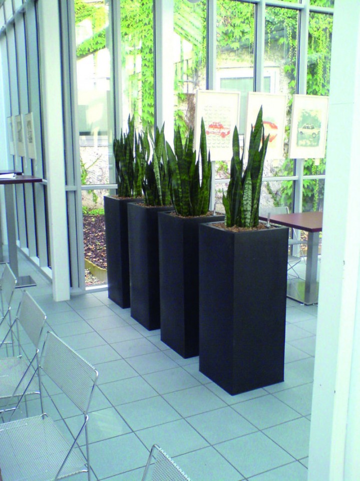 Zum Interieur passend, farblich, harmonisch abgestimmte Gefäße platziert als Gruppe, mit dezenter Bepflanzung – eine hervorragende Idee, Räume optisch aufzuteilen http://www.linea-futura.de/wp-content/uploads/2011/07/Bild_01web-719x960.jpg