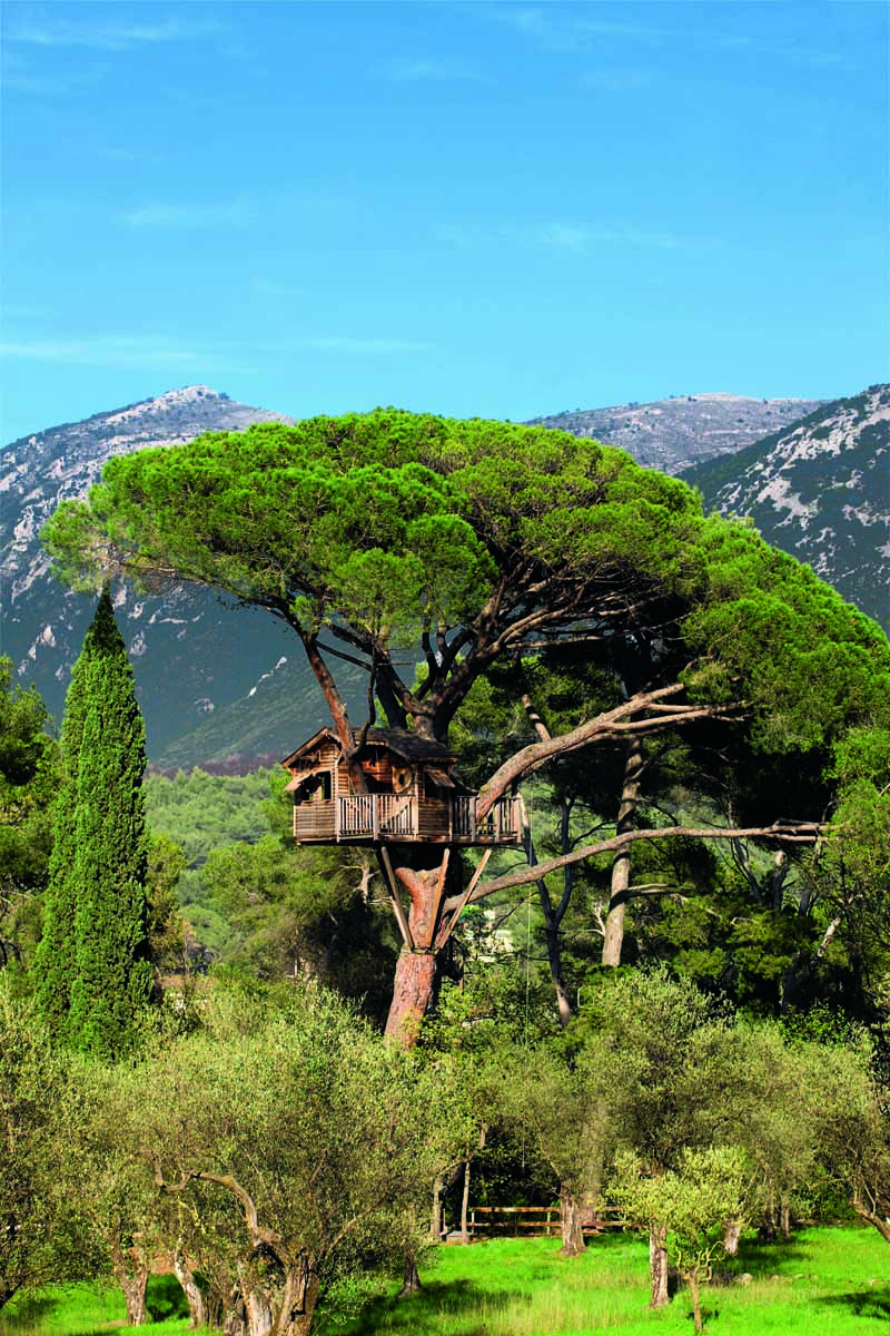 Baumhaus-Paradies, München – „Lebensraum Baum“