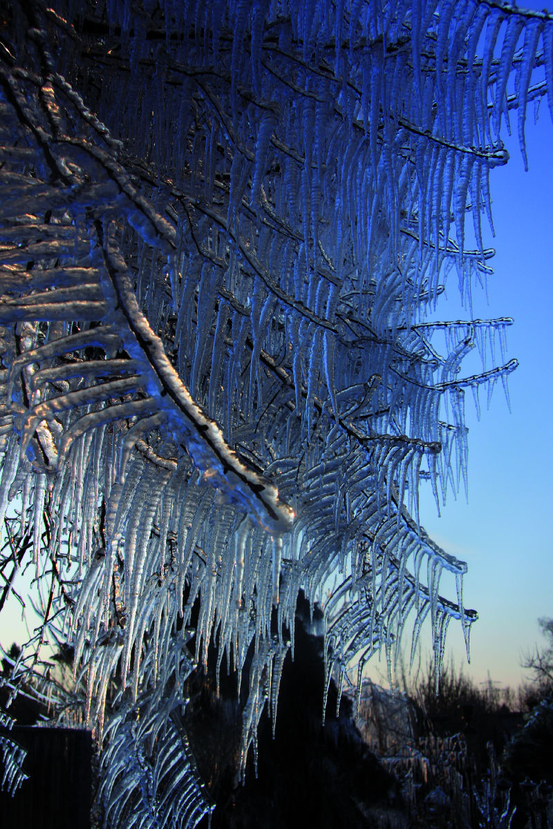 Rund um den Garten – „Gut gerüstet in den Winter“