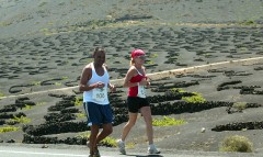 Lanzarote Wine-Run