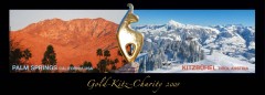 Gold-Kitz Charity 2009