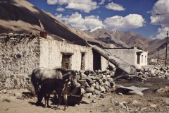 Ladakh (c) Max Höll