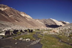 Ladakh (c) Max Höll